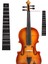 Keman - Nota - Etiket - Sticker - Klavye - Çıkartma - Violin - Keman Aksesuar 1