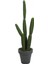 Yapay Çöl Kaktüsü 160 Cm 1