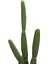 Yapay Çöl Kaktüsü 160 Cm 2