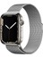 Apple Watch 42MM Uyumlu Kordon Hasır Metal Mıknatıslı Band-01 Kayış, Gümüş 1
