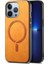 Apple iPhone 13 Pro Telefon Kılıfı (Yurt Dışından) 1