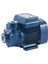 Pk 300 Preferikal Pompa Trifaze (380V) 100 Mss 5.4 M³/h 1