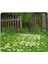 Bahar Bahçesi Papatya Çiçek Mouse Pad 7x8.6 Inç Kaymaz Ka Tabanlı Kablosuz Fare Bilgisayarlar Dizüstü Ofis Için Dayanıklı Malzemeler (Yurt Dışından) 1