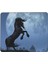 Moon Horse Mouse Pad 7x8.6 Inç Kaymaz Ka Tabanlı Kablosuz Fare Bilgisayarlar Dizüstü Ofis Için Dayanıklı Malzemeler (Yurt Dışından) 1