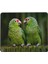 Yeşil Palmiye Ağacı Üzerinde Iki Papağan Mouse Pad 7 x 8,6 Inç Kaymaz Ka Tabanlı Kablosuz Fare Bilgisayarlar Dizüstü Ofis Için Dayanıklı Malzemeler (Yurt Dışından) 1