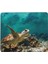 Deniz Kaplumbağası Mouse Pad 7x8.6 Inç Kaymaz Ka Tabanlı Kablosuz Fare Bilgisayarlar Dizüstü Ofis Için Dayanıklı Malzemeler (Yurt Dışından) 1