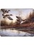 Yeşilbaş Ördekler Mouse Pad 7x8.6 Inç Kaymaz Ka Taban ile Kablosuz Fare Bilgisayarlar Dizüstü Ofis Için Dayanıklı Malzemeler (Yurt Dışından) 1