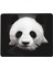 Sevimli Siyah ve Beyaz Panda Mouse Pad 7x8.6 Inç Kaymaz Ka Tabanlı Kablosuz Fare Bilgisayarlar Dizüstü Ofis Için Dayanıklı Malzemeler (Yurt Dışından) 1