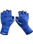 Pro Angler Summer Gloves Blue 1