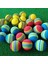 40MM 2 Adet Mavi Stil Yeni Tenis Topları 9 Adet Golf Antrenman Yumuşak Ayı Kedisi Köpeği Yavru Evcil Hayvanlar Çiğneme Topu Golf Oyuncağı Regenbogen Oyuncaklar (Yurt Dışından) 2