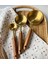 Ekincihome 3'lü Ahşap Saplı Tasarım Gold Ölçü Kaşığı 15-60-125 ml 2