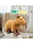 Peluş Capybara Oyuncak Doldurulmuş Hayvan Peluş Yumuşak (Yurt Dışından) 3