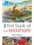 Rspb First Book Of The Seashore 1