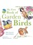 My First Book Of Garden Birds 1