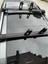 Daewoo Wınstorm Maxx 2006-2011 Trx1 Thunder Carrier Kilitli Ara Atkı Taşıyıcı Tavan Barı 4 Adet Dayama Dahil 4