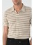 Bej Kısa Kollu Çizgili Erkek Triko Gömlek 4