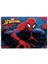 Spider Man 15 Yaprak Resim Defteri Keskin Color 1