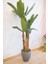 Yapay Muz Ağacı 200 cm 5
