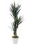 Yapay Sisal Ağacı 170 cm 1