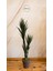 Yapay Sisal Ağacı 170 cm 3