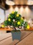 Bonsai Limon Ağacı Dekoratif Yapay Ağaç Yeşil Bonzai 28*23 Cm Siyah Kare Saksıda 3
