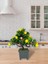 Bonsai Limon Ağacı Dekoratif Yapay Ağaç Yeşil Bonzai 28*23 Cm Siyah Kare Saksıda 4
