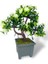 Yapay Çiçek Beyaz Çiçekli Bonsai Ağacı Dekoratif Yapay Ağaç Bonzai 29*24 Cm Siyah Kare Saksıda 1