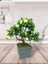 Yapay Çiçek Beyaz Çiçekli Bonsai Ağacı Dekoratif Yapay Ağaç Bonzai 29*24 Cm Siyah Kare Saksıda 2