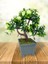 Yapay Çiçek Beyaz Çiçekli Bonsai Ağacı Dekoratif Yapay Ağaç Bonzai 29*24 Cm Siyah Kare Saksıda 3