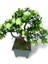 Yapay Çiçek Beyaz Çiçekli Bonsai Ağacı Dekoratif Yapay Ağaç Bonzai 29*24 Cm Siyah Kare Saksıda 4