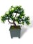 Yapay Çiçek Beyaz Çiçekli Bonsai Ağacı Dekoratif Yapay Ağaç Bonzai 29*24 Cm Siyah Kare Saksıda 5