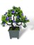 Yapay Çiçek Mor Çiçekli Bonsai Ağacı Dekoratif Yapay Ağaç Bonzai 29*24 Cm Siyah Kare Saksıda 1