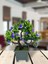 Yapay Çiçek Mor Çiçekli Bonsai Ağacı Dekoratif Yapay Ağaç Bonzai 29*24 Cm Siyah Kare Saksıda 3