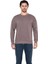 Erkek Basic Regular Fit 3 Iplik Şardonsuz Çelik Interlok Sweatshirt 1