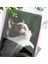 Ahastyle PT129-2 Apple Kalem 2nd Nesil Sevimli Karikatür Stylus Kalem Kapağı Yumuşak Silikon Kolkedi Paw (Yurt Dışından) 5