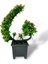 Yapay Çiçek Bonsai Ağacı Pembe Eğik Model Dekoratif Yapay Ağaç Bonzai 30*22 Cm Siyah Kare Saksıda 1