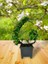 Yapay Çiçek Bonsai Ağacı Pembe Eğik Model Dekoratif Yapay Ağaç Bonzai 30*22 Cm Siyah Kare Saksıda 3