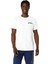 Asics Chest Logo Ss Tee Erkek Beyaz Kısa Kollu Tshirt 2031E659-100 1