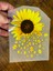 Ütü Ile Yapışan Ayçiçeği Transfer Baskı Arma Tişört Baskı 14X11 cm 1