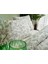 Belinda Easy Cotton Tek Kişilik Nevresim Takımı 2