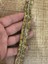Zirkon Taşlı Leopar Varaklı Şerit Dikiş Giyim Hobi Aksesuarı En 2 cm (1 Metre ) 1