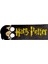 Harry Potter Kitap Ayracı 1