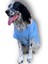 Triple Light Blue Kapşonlu Sweatshirt Orta ve Büyük Irklar Için 2