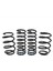 Volkswagen Beetle Pro-Kit 30 mm E10-85-039-01-22 Spor Helezon Yay 3