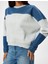 Oversize Sweatshirt Renk Bloklu Bisiklet Yaka Fermuar Detaylı Şardonlu 5