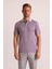 Erkek Gri Çizgili Polo Yaka T-Shirt 7
