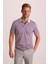 Erkek Gri Çizgili Polo Yaka T-Shirt 9