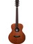 Ts Mini 11 Akustik Gitar 1