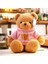 Kazak Oyuncak Ayı Bebek Peluş Oyuncak Ayı Yastık Bebek Düğün Hediye Ayı 48CM (Yurt Dışından) 1