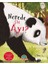 Nerede Şu Ayı ? 1